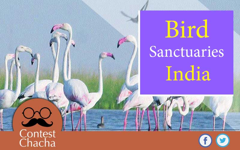 Bird-sanctuaries-of-India
